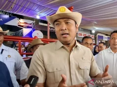 Wamentan Tegaskan Stok Daging Nasional Aman