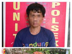 Kepergok Patroli, Pencuri Sawit di PALI Ditangkap