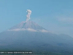 Semeru Meletus 5 Kali, Kolom Abu Capai 1,2 Km