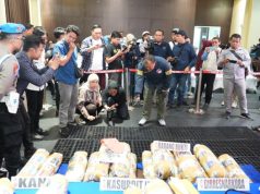 Polda Sumsel Bongkar Sindikat Ladang Ganja 20 Hektar di Empat Lawang