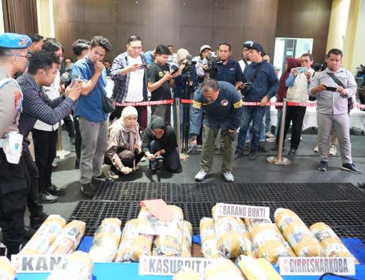 Polda Sumsel Bongkar Sindikat Ladang Ganja 20 Hektar di Empat Lawang