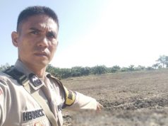 Kapolsek Talang Ubi Monitoring Persiapan Tanam Jagung di Simpang Tais