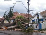 Angin Kencang Sebabkan Pohon Tumbang, Pagar Kantor Lurah Sidakersa Rusak