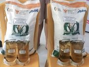 Bantuan Pangan Beras dan Minyak Goreng Akan Segera Disalurkan