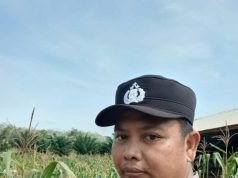 Cek Lahan 2 Hektare, Polisi Dukung Pangan Lokal