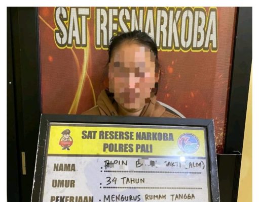 30 Butir Ekstasi Disita, IRT di PALI Ditangkap Polisi