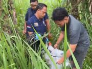 Curi Kabel Tower Telkomsel, Dua Warga OKU Diringkus Polisi