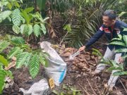Polisi Ungkap Kasus Pembunuhan Bermodus Amuk Massa di OKU Selatan