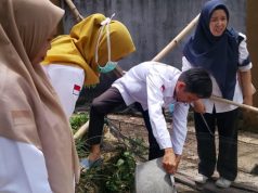 Cegah Penyebaran DBD, Ini yang Dilakukan Puskesmas Awal Terusan