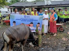 H. Iskandar Salurkan 43 Hewan Kurban untuk Warga Sumsel II