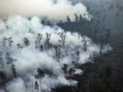 Riau Siaga Karhutla, 11 Daerah Tetapkan Status Darurat