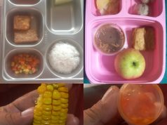 Menu Balita Disamaratakan, MBG di OKI Tuai Kritik