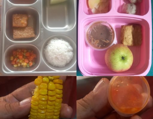 Menu Balita Disamaratakan, MBG di OKI Tuai Kritik