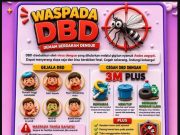 Puskesmas SP Padang Ingatkan Masyarakat Waspada Penyakit DBD