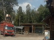 Operasional RAM Sawit PT Inti Agro Makmur di Prabu Menang Dipertanyakan, Kades Sebut Tak Ada Izin
