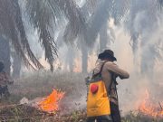 Polda Sumsel Kerahkan Personel Padamkan Karhutla di Wilayah PT PAR OKI