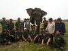 Api Mengancam Habitat Gajah, Menhut Perkuat Pemadaman