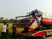 Janji Mentan Amran Cair dalam Hitungan Jam