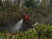 Kemarau Sumsel Diprediksi Molor Hingga Akhir Oktober, BMKG Ungkap Wilayah Terdampak