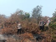 Operasi Aman Nusa II Polda Sumsel Percepat Penanganan Bara Karhutla di Gelumbang