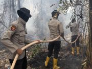 11 Personel BKO Aman Nusa II Padamkan Karhutla di Tulung Selapan