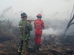 TNI dan Tim Gabungan Berjibaku Padamkan Karhutla di Tulung Selapan