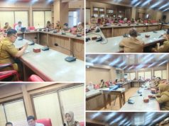 Sekda Banyuasin Ikuti Rakor Nasional, Harga Cabai hingga Daging Jadi Sorotan